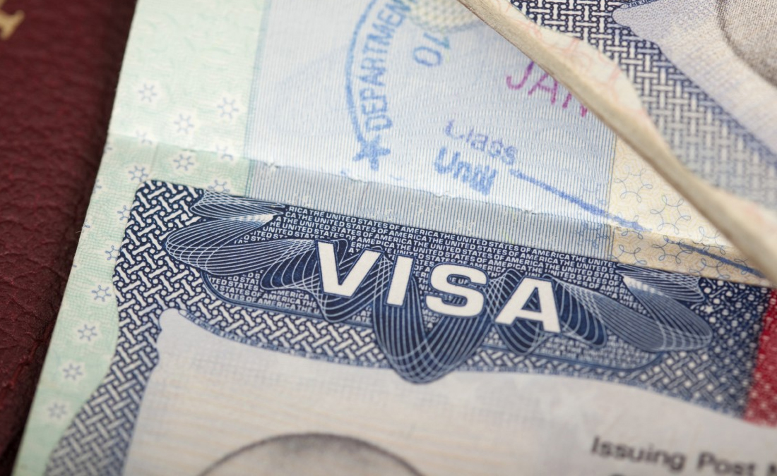 Visa Assistant